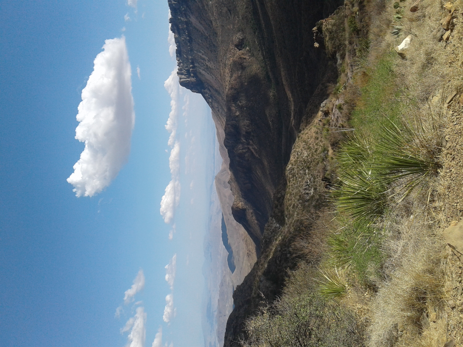 big bend national park